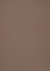 Billede: Paper Favourites Special - Metallic 120g A4/5 ark 