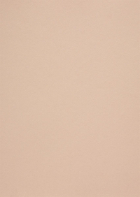 Billede: Paper Favourites Special - Metallic 120g A4/5 ark 