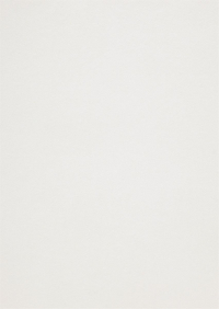 Billede: Paper Favourites Special - Metallic 120g A4/5 ark 