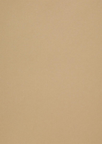 Billede: Paper Favourites Special - Metallic 120g A4/5 ark 