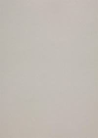 Billede: Paper Favourites Special - Metallic 120g A4/5 ark 