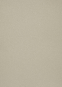 Billede: Paper Favourites Special - Metallic 120g A4/5 ark 