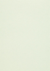 Billede: Paper Favourites Special - Metallic 120g A4/5 ark 2Aloe