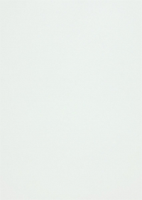 Billede: Paper Favourites Special - Metallic 120g A4/5 ark 