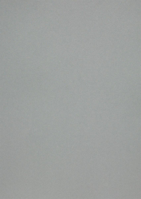 Billede: Paper Favourites Special - Metallic 120g A4/5 ark 