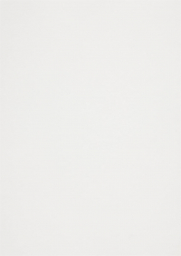 Billede: Paper Favourites Special - Skin 135g A4/5 ark 