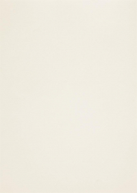 Billede: Paper Favourites Special - Skin 135g A4/5 ark 