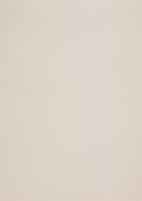 Billede: Paper Favourites Special - Skin 135g A4/5 ark 