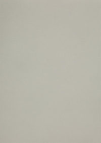 Billede: Paper Favourites Special - Skin 135g A4/5 ark 