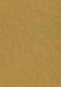 Billede: Paper Favourites Special - Alchemy 120g A4/5 ark 