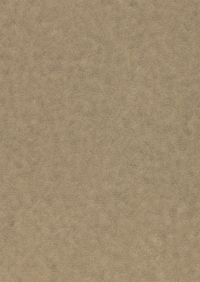 Billede: Paper Favourites Special - Alchemy 120g A4/5 ark 