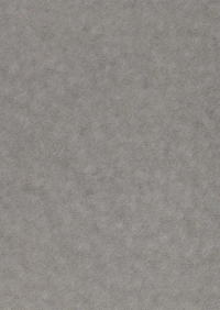 Billede: Paper Favourites Special - Alchemy 120g A4/5 ark 