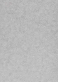Billede: Paper Favourites Special - Alchemy 120g A4/5 ark 