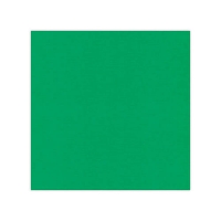 Billede: Linnen karton Green 240gr 1 ark