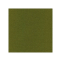 Billede: Linnen karton Moss-green 240gr 1 ark