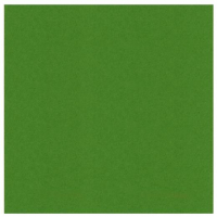 Billede: Linnen Karton 240gr 1 ark Fern Green, 30,5x30,5cm 