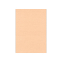 Billede: Linnen Karton 240gr 5 ark Salmon A4