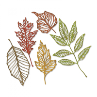 Billede: skæreskabelon skeletblade, SIZZIX/TIM HOLTZ THINLITS DIE “Skeleton Leaves” 663094