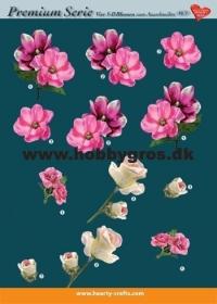 Billede: blomster nr. 7, ideen mit herz