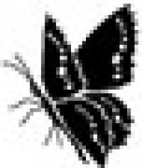 Billede: peg stamps, brass butterfly, 2009 rubber stamps, sommerfugl
