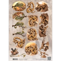 Billede: øgle, slange varan/salamander, amy design