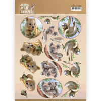 Billede: quokka, koala og dovendyr, amy design