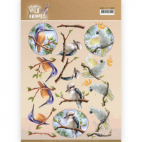 Billede: isfugl, kookaburra, kakadue, amy design