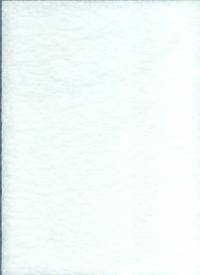 Billede: spindelvæv hvid ca. 30 x 20 cm
