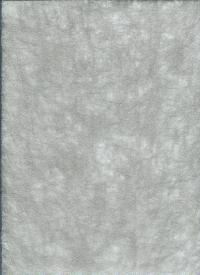 Billede: spindelvæv sølv ca. 30 x 20 cm